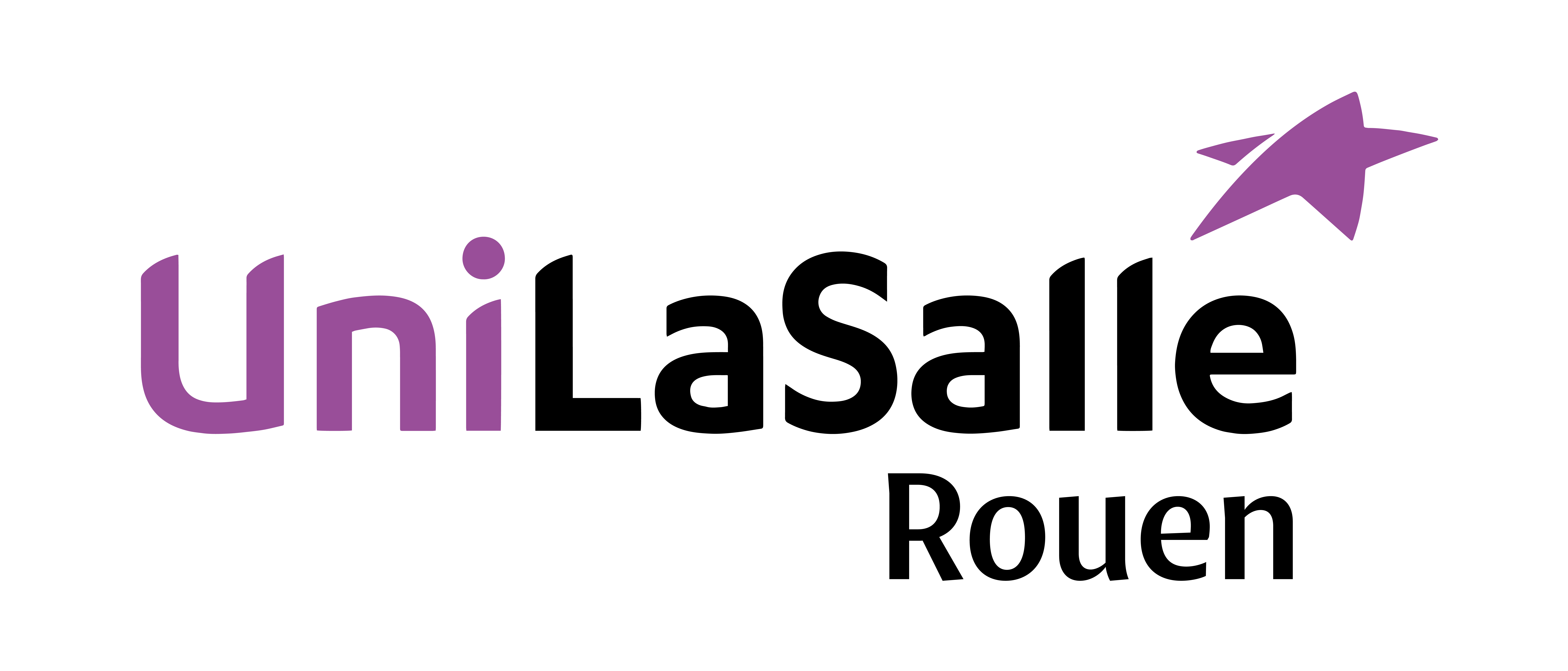 Moodle UniLasalle Rouen